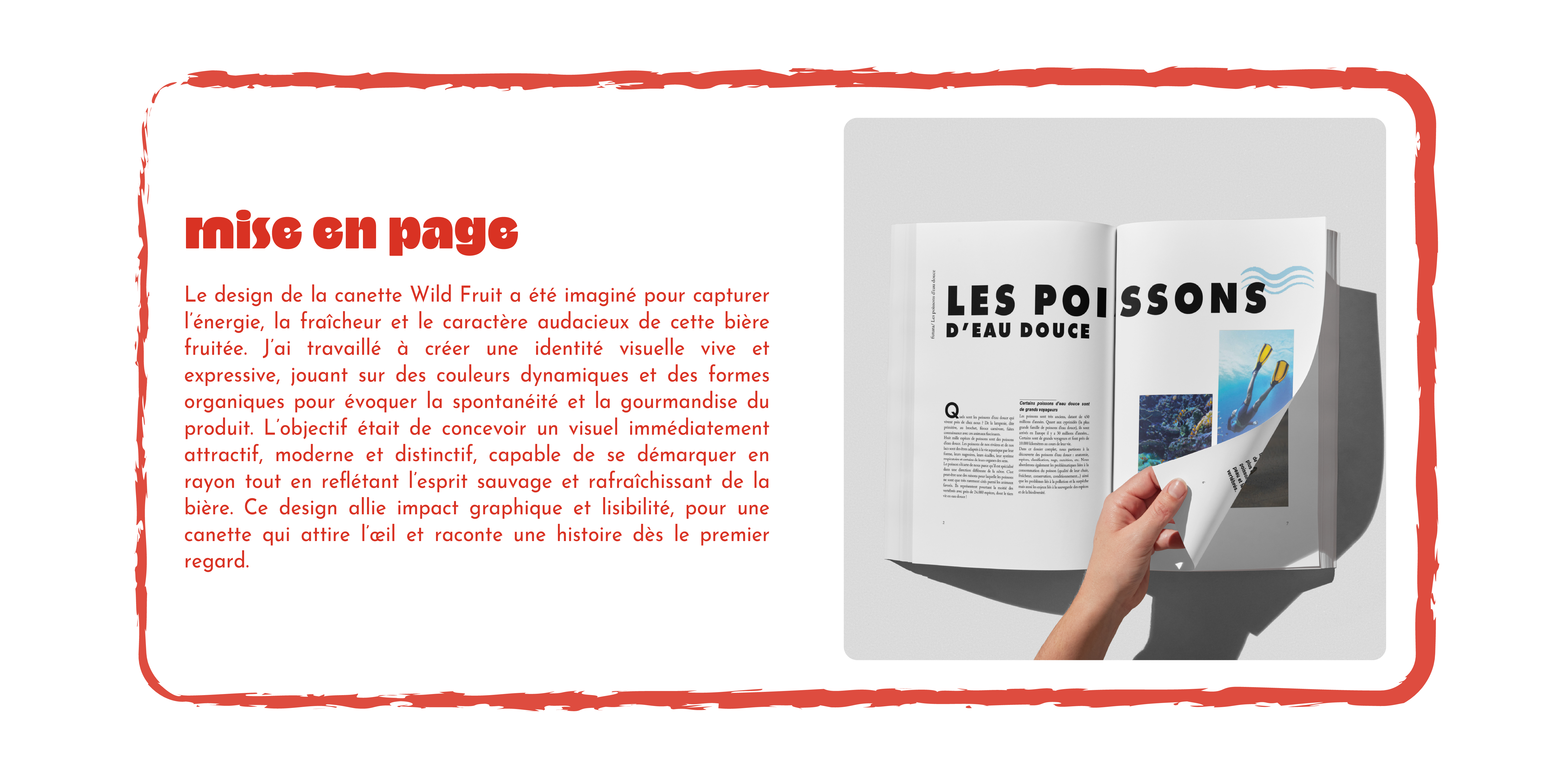Projet 1