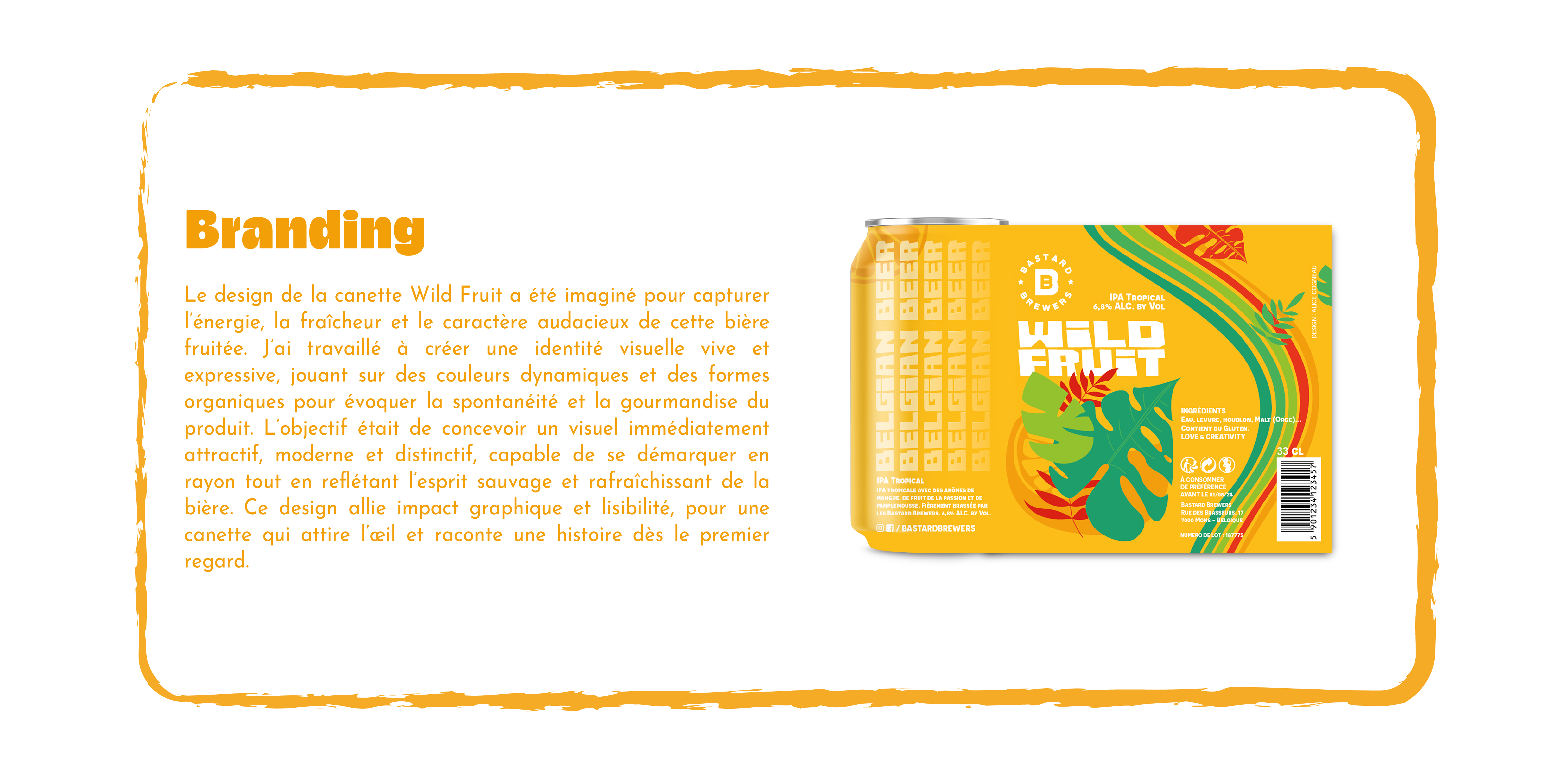 Projet 1